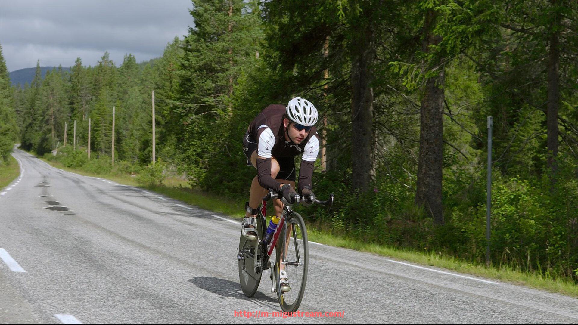 咪咕体育直播-英超中被称为喜鹊的球队是哪支?这支球队的粉丝文化怎样?(喜鹊 英超球队)